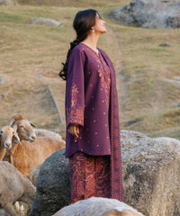 3 Piece - Embroidered Khaddar Suit